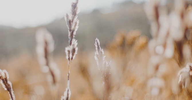 Child and Adolescent Psychotherapy